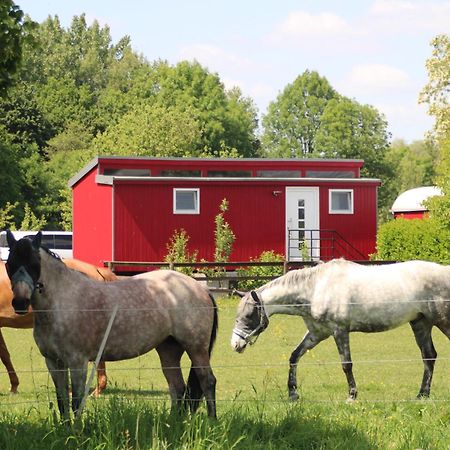 Schlafwagen Domblick Moerenhof Xanten Dış mekan fotoğraf