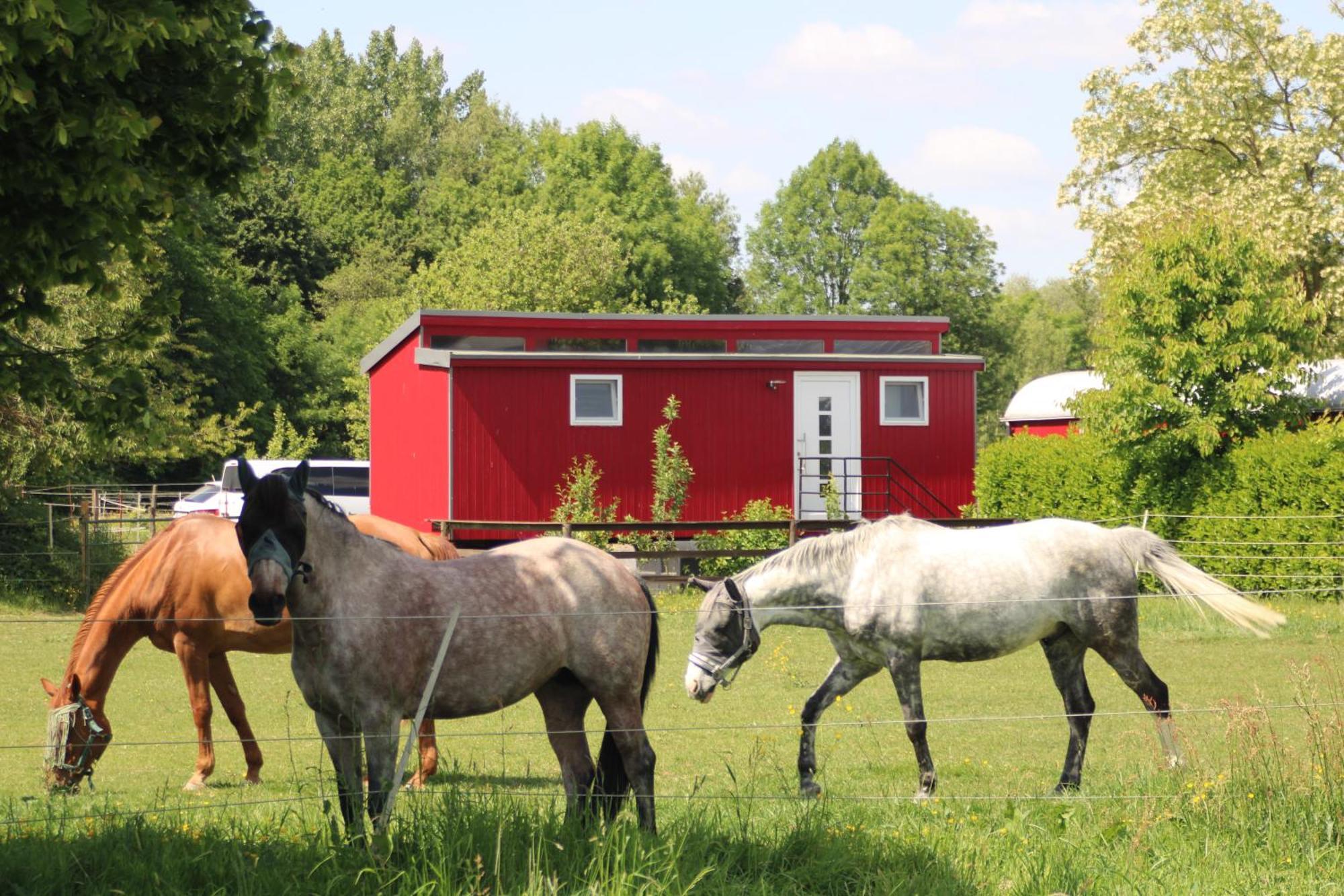 Schlafwagen Domblick Moerenhof Xanten Dış mekan fotoğraf